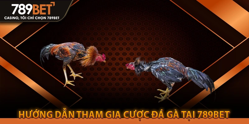 Hướng Dẫn Tham Gia Cược Đá Gà Tại 789BET