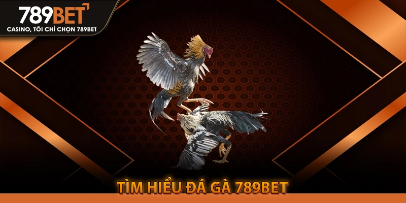 Tìm Hiểu Đá Gà 789BET